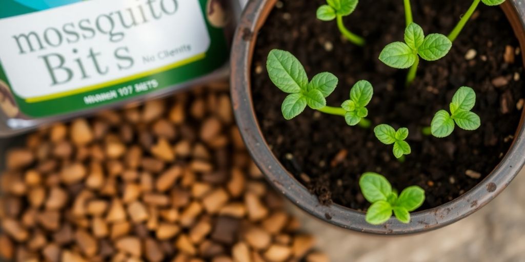 Mosquito Bits and healthy plants in a garden.